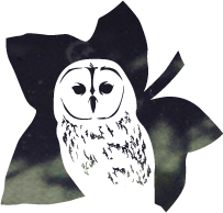 Ivy Owl Logo